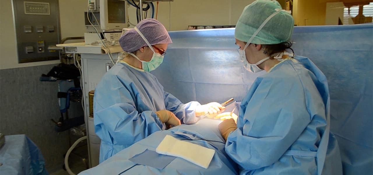 Gynécologie Gynécologie - Opération Cancer Du Sein